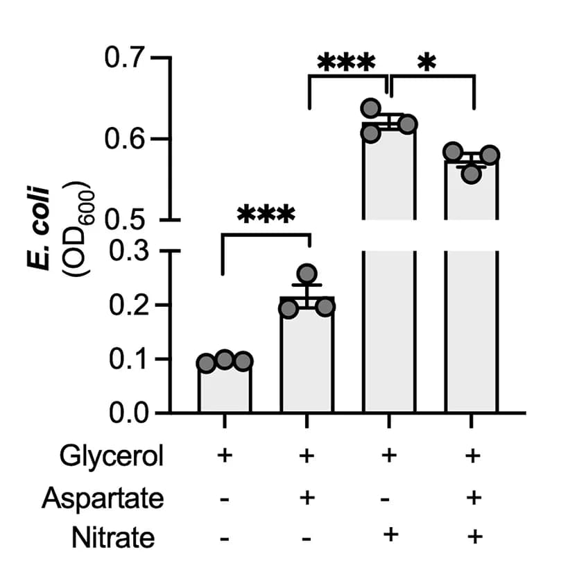 Open access visualization of Bar Plot, Error Bars, E. Coli Wild-Type, Anaerobic Growth, NCE Media