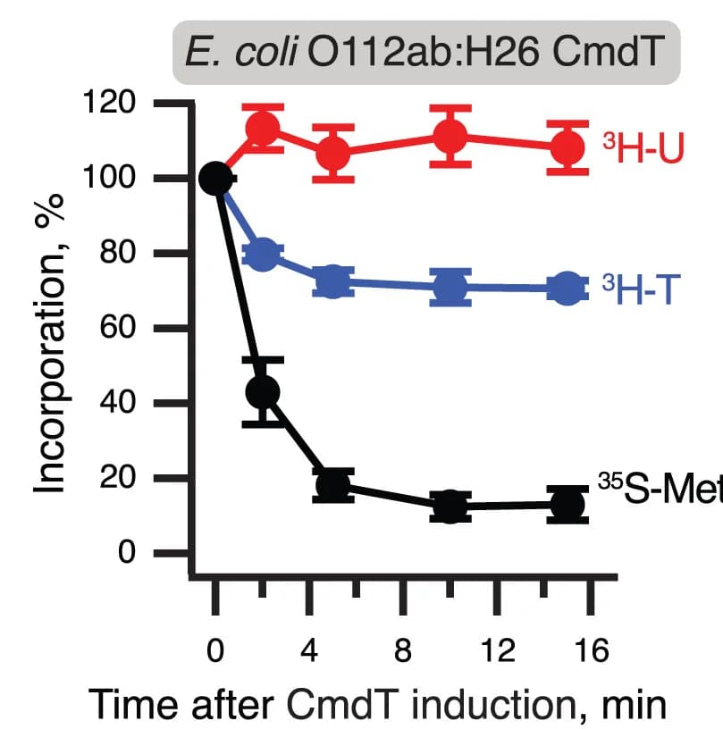 Open access visualization of Line Plot, Error Bars, Metabolic Labeling, E. coli, HigB RNase