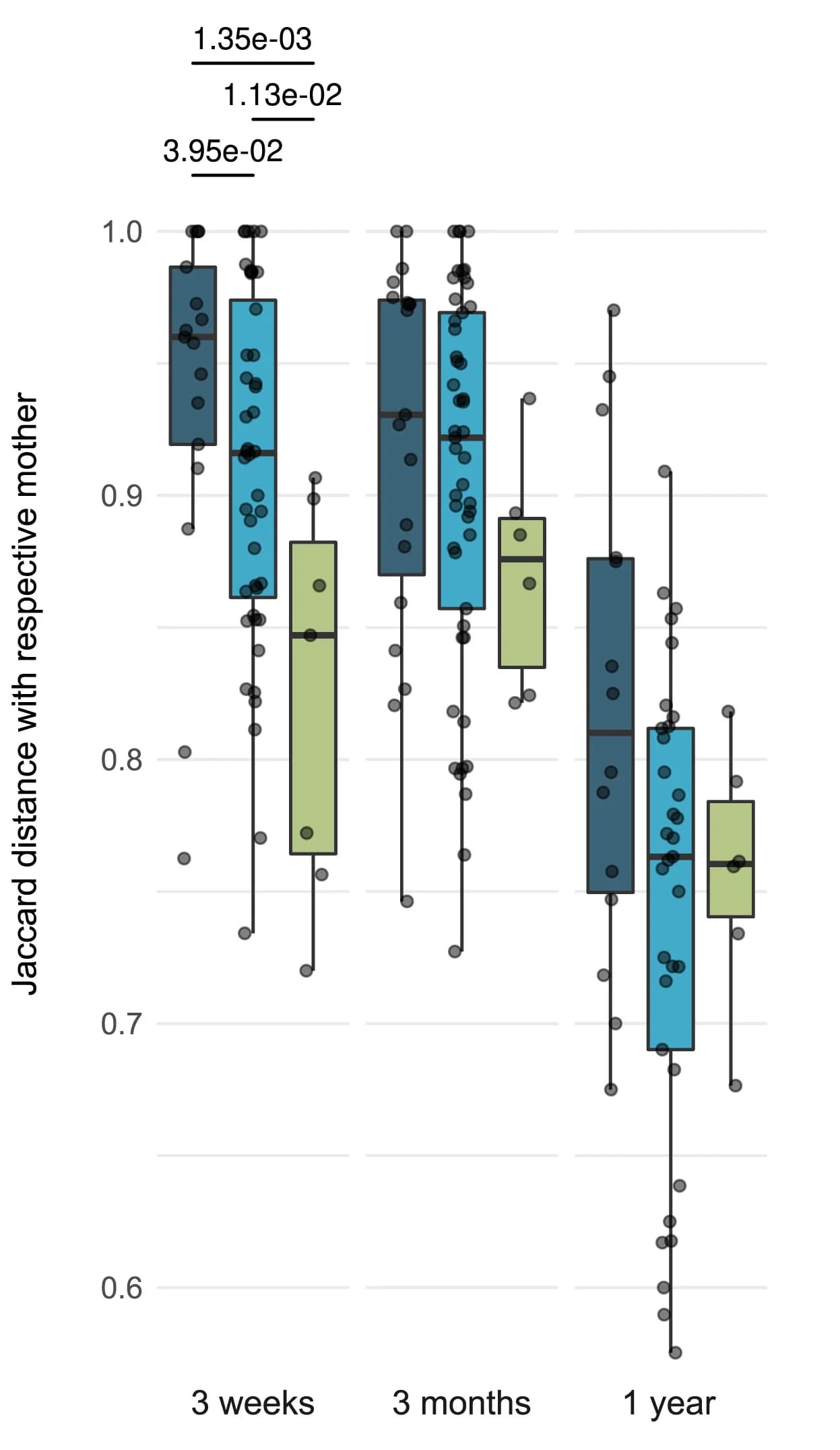 Open access visualization of Box Plot, Scatter Plot, Jaccard Distance, Microbiota Composition, Mothers