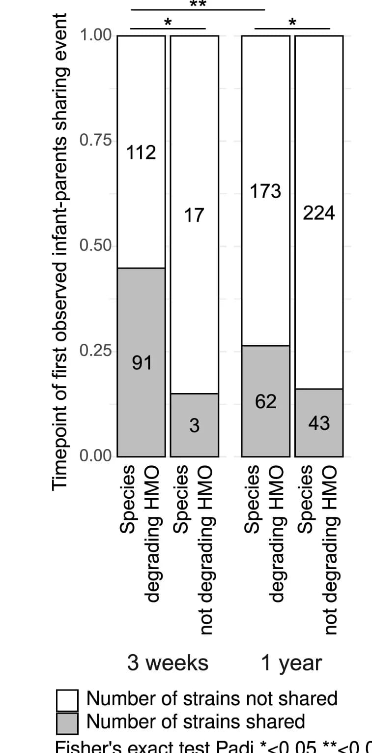 Open access visualization of Stacked Bar Plot, Strain Sharing, Species, HMOs, Infants