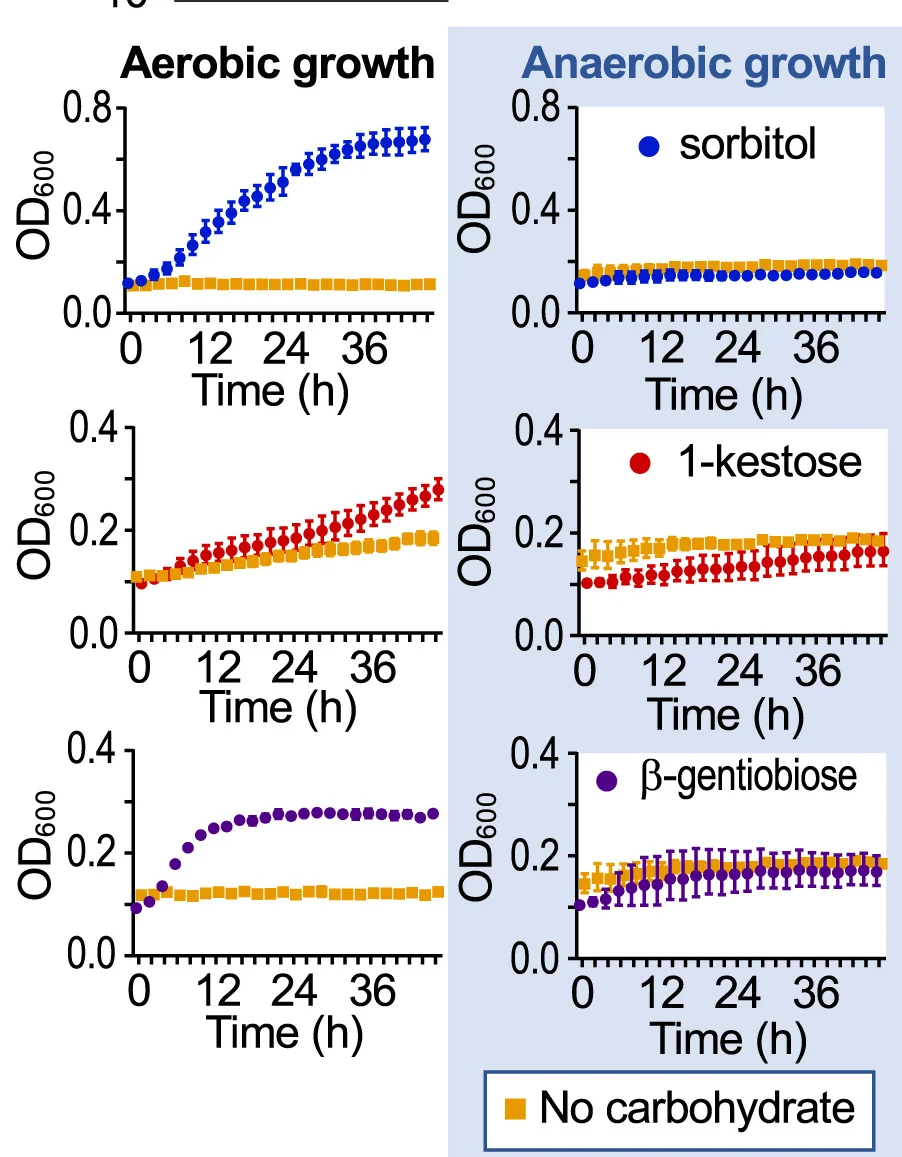 Open access visualization of Line Plot, Error Bars, In Vitro Growth, C. albicans, Yeast Nitrogen Broth