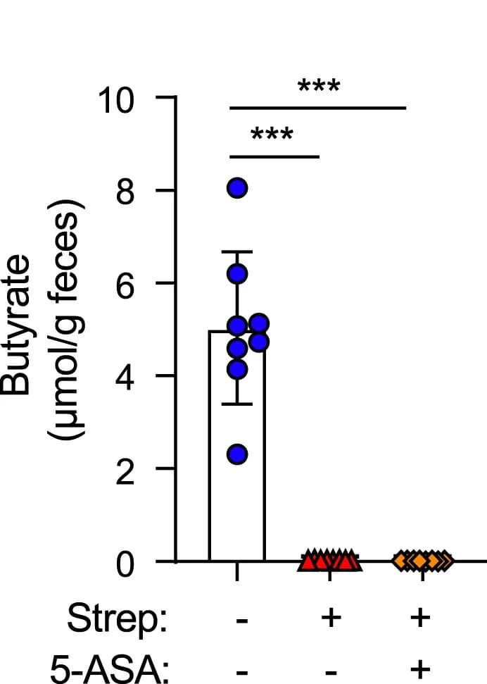 Open access visualization of Bar Plot, Scatter Plot, Error Bars, Butyrate, Fecal Contents