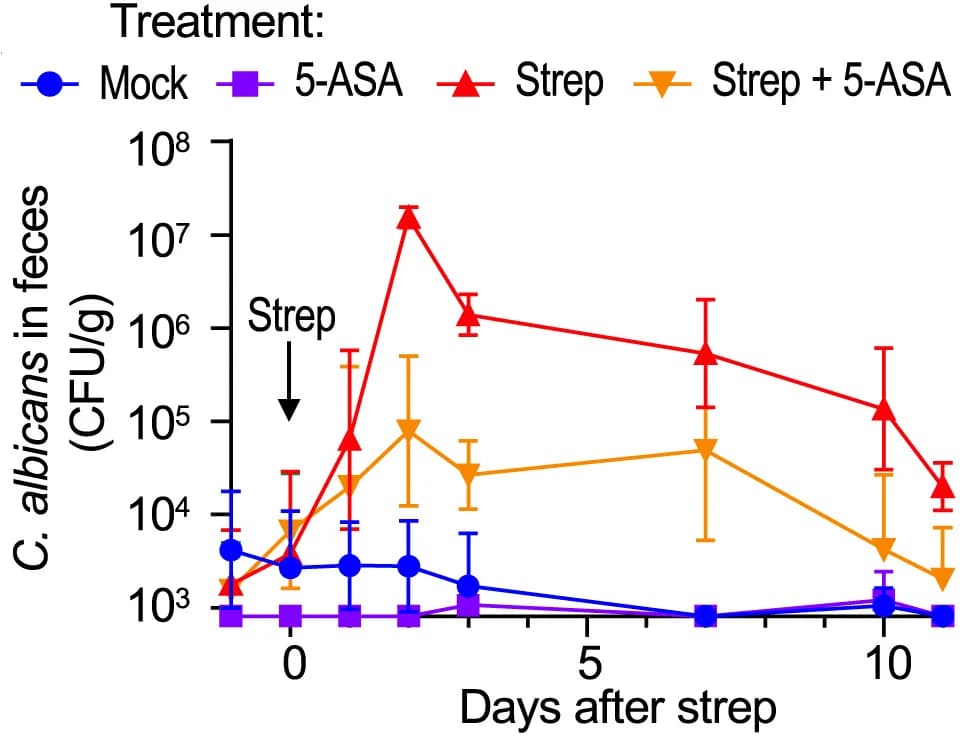 Open access visualization of Line Plot, Error Bars, Mice, Control Chow, 5-Aminosalicylic Acid