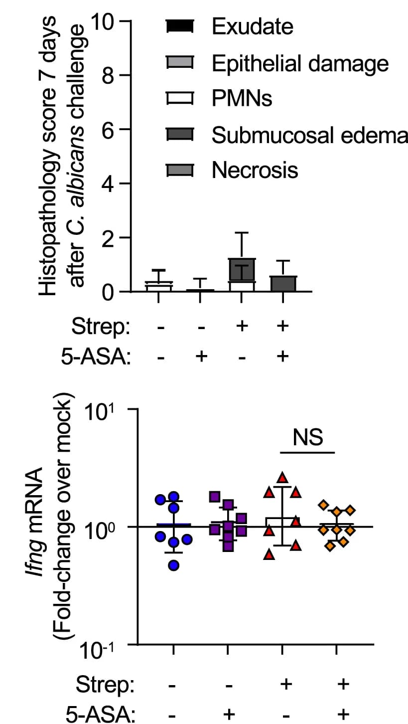 Open access visualization of Bar Plot, Error Bars, Scatter Plot, Mice, 5-Aminosalicylic Acid