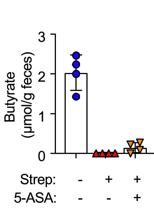 Open access visualization of Bar Plot, Scatter Plot, Error Bars, Cecal Contents, Butyrate Concentration