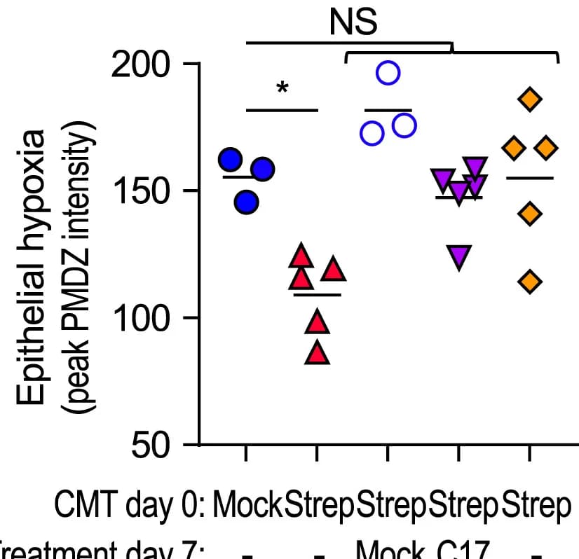 Open access visualization of Scatter Plot, Pimonidazole (PMDZ), Hypoxyprobe-1, Cy-3, DAPI