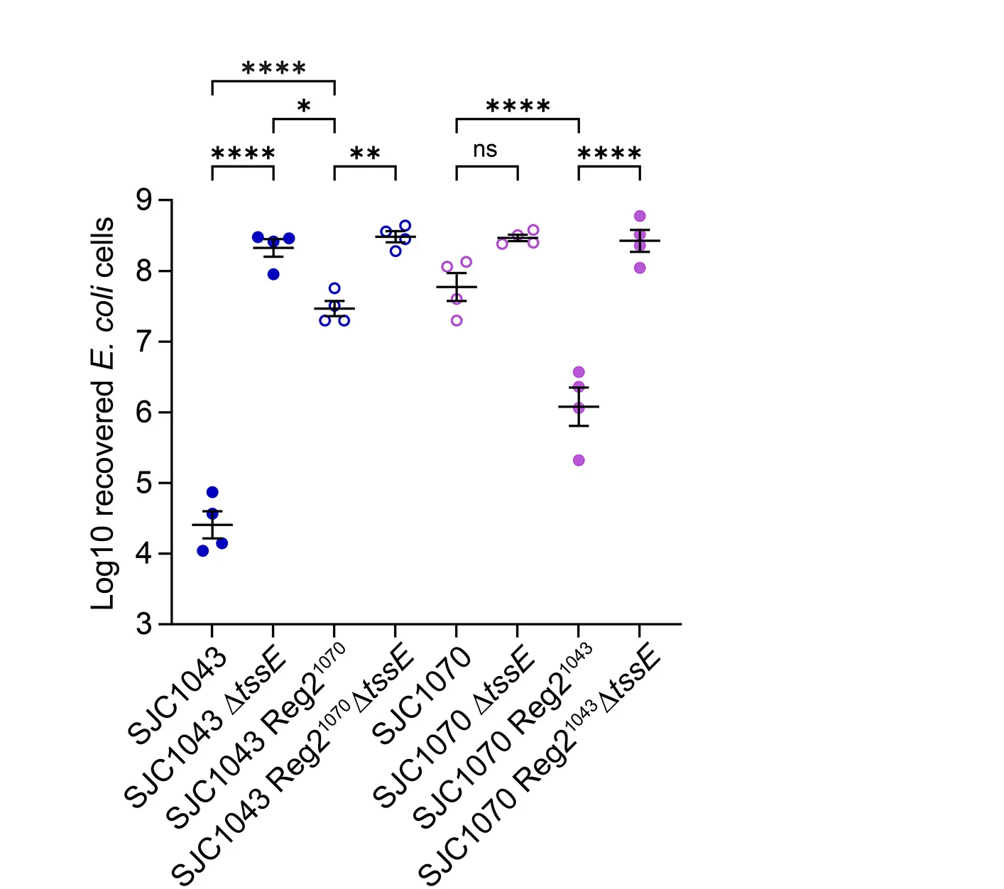 Open access visualization of Scatter Plot, Error Bars, E. coli Cells, Co-culture, Clinical Isolates