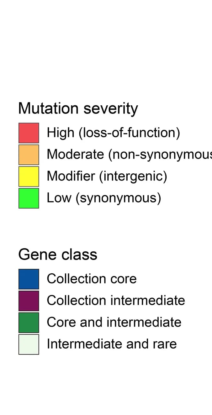 Open access visualization of Illustration, Density Plot, Mutations, Severity, Phylogenetic Tree