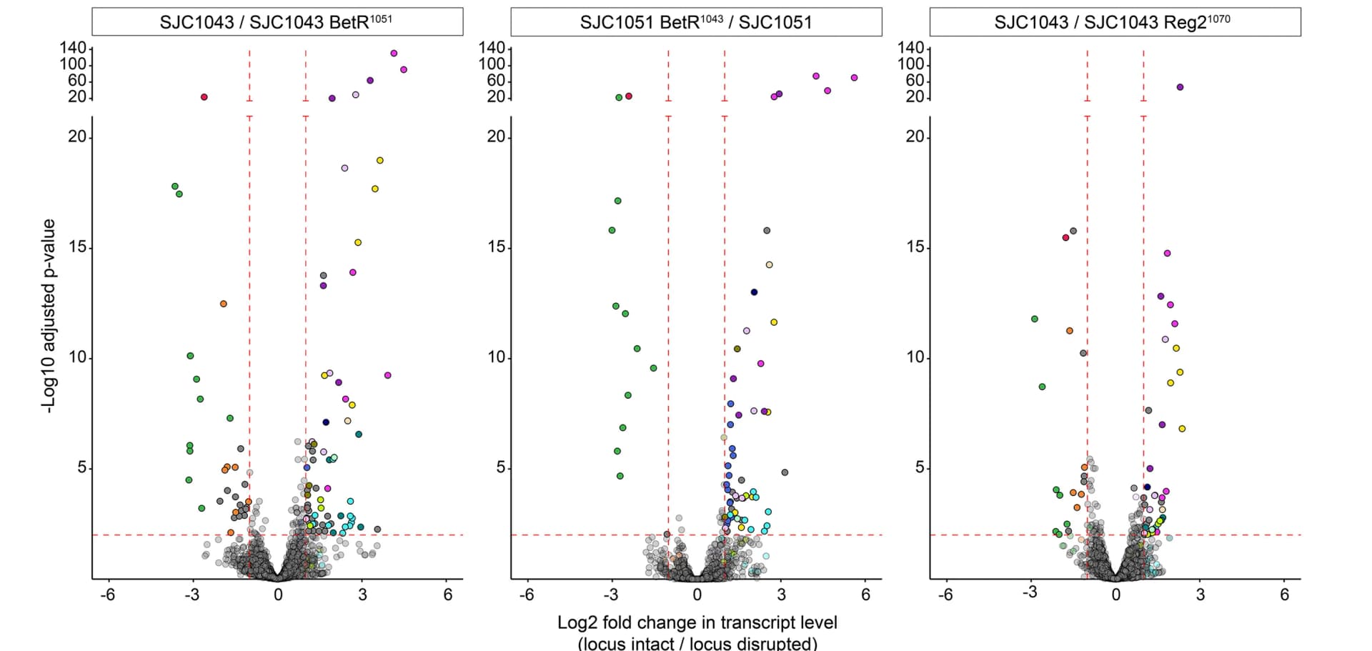 Open access visualization of Scatter Plot, RNA-Seq, Volcano Plots, Transcript Abundance, Gene Clusters