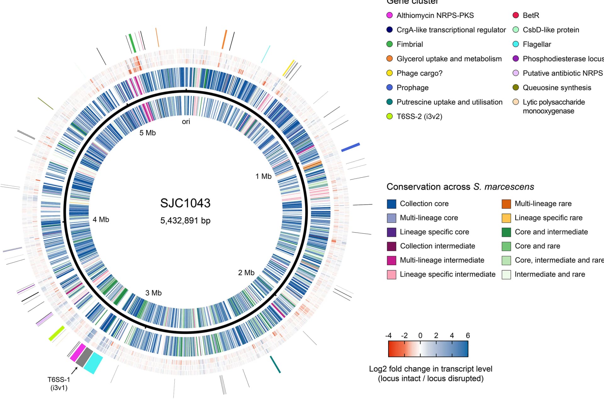 Open access visualization of Network, Pathway, BetR System, SJC1043 Chromosome, Gene Conservation