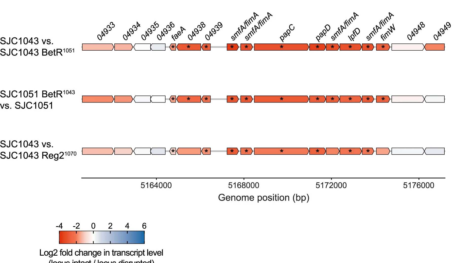 Open access visualization of Workflow, Illustration, Fimbrial Gene Cluster, Gene Expression, Transcript Level