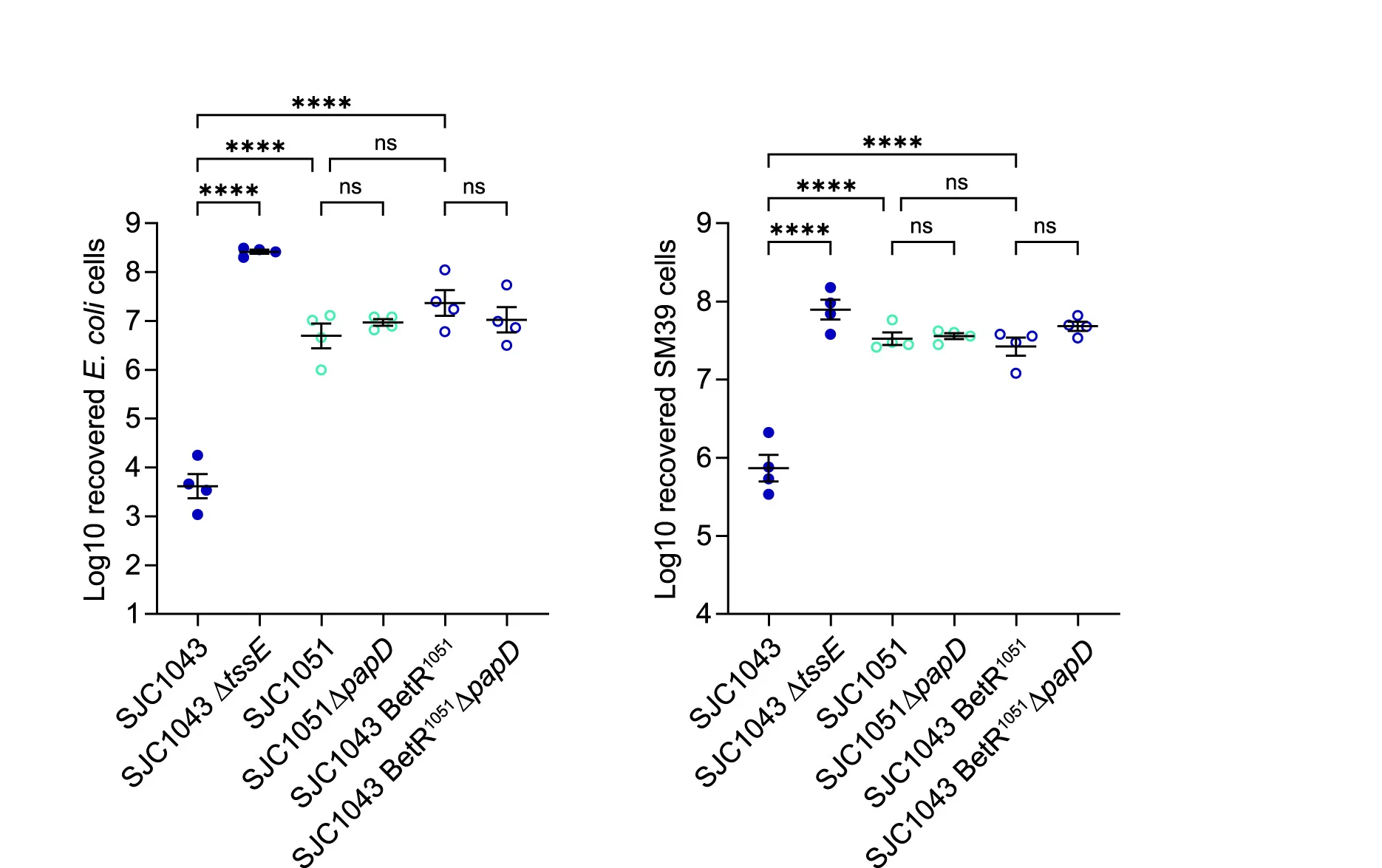 Open access visualization of Scatter Plot, Error Bars, E. coli, S. marcescens, Co-culture