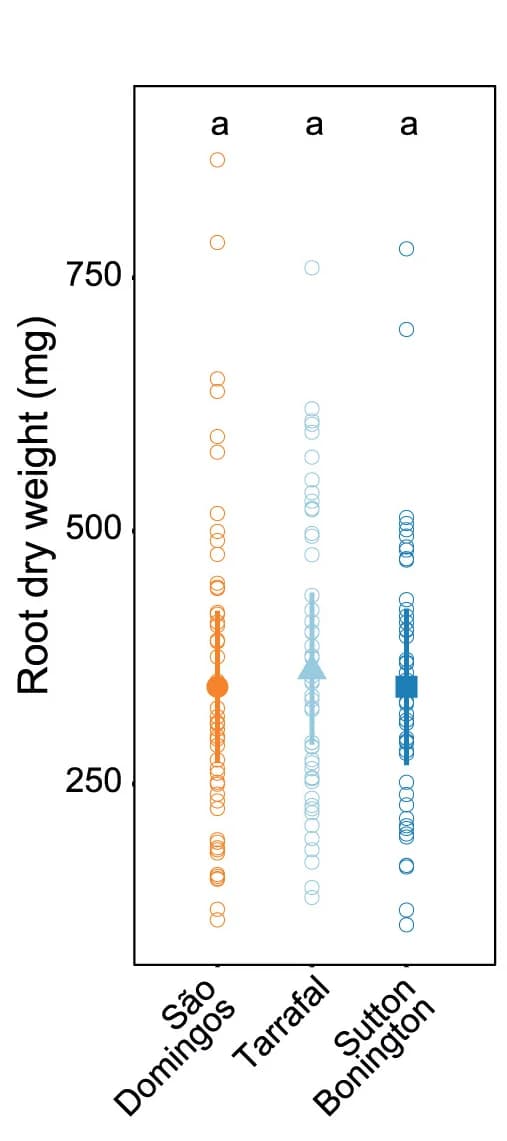 Open access visualization of Scatter Plot, Error Bars, Root, Dry Weight, Plants