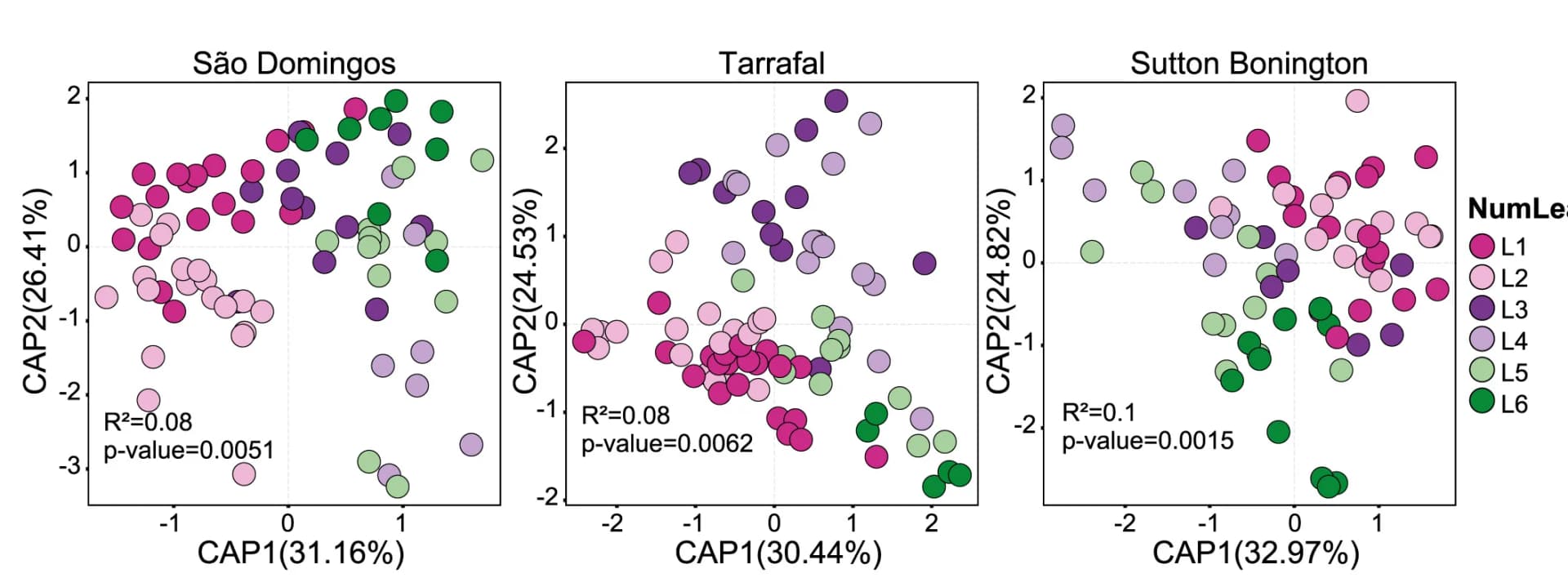 Open access visualization of Scatter Plot, PCA, Bacterial Composition, Leaf, PERMANOVA
