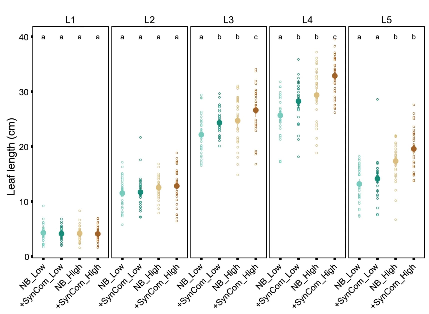 Open access visualization of Scatter Plot, Bubble Plot, Leaf Length, Maize, Wild-type