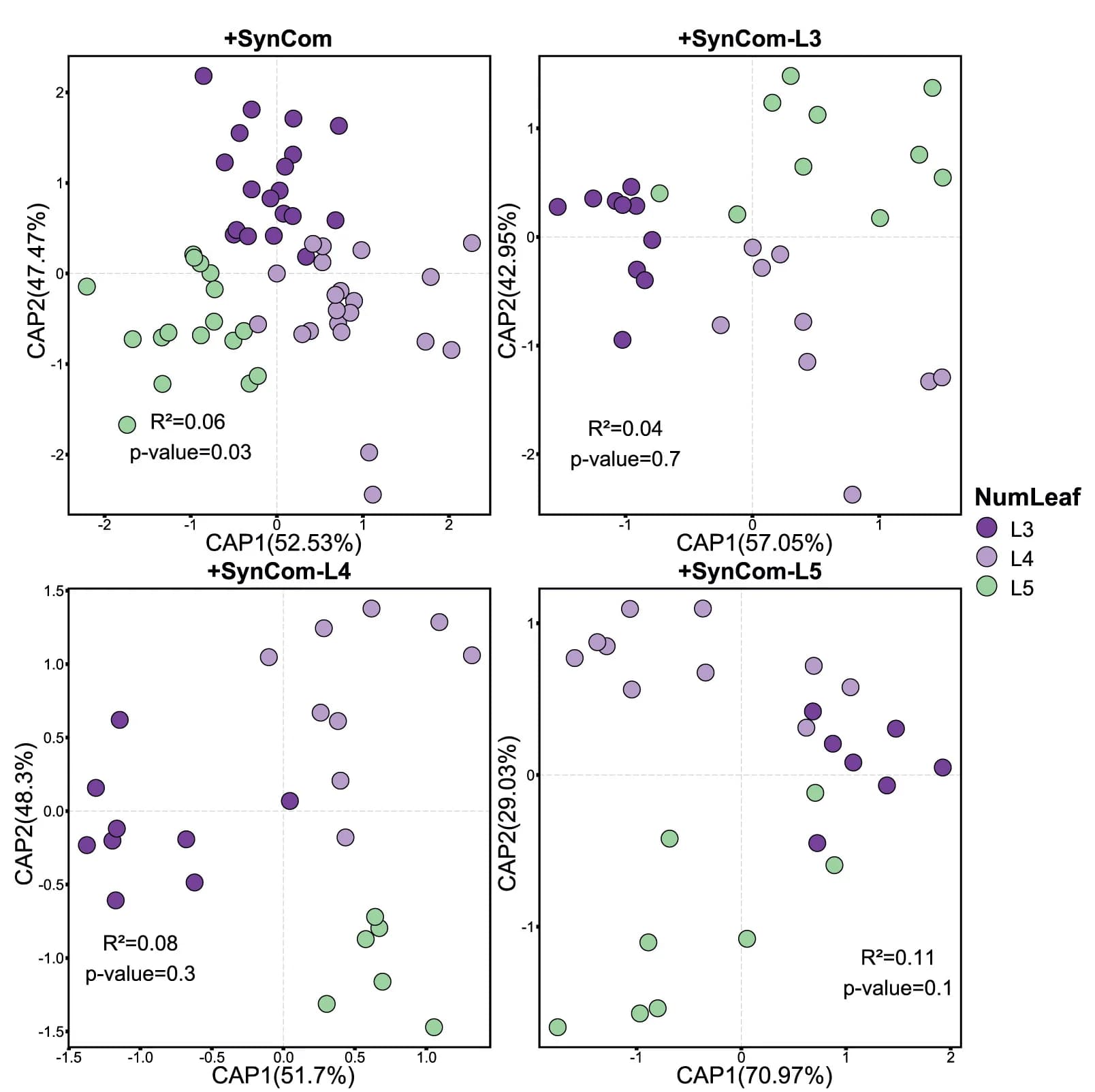 Open access visualization of Scatter Plot, PCA, CAP, Bacterial Composition, Maize