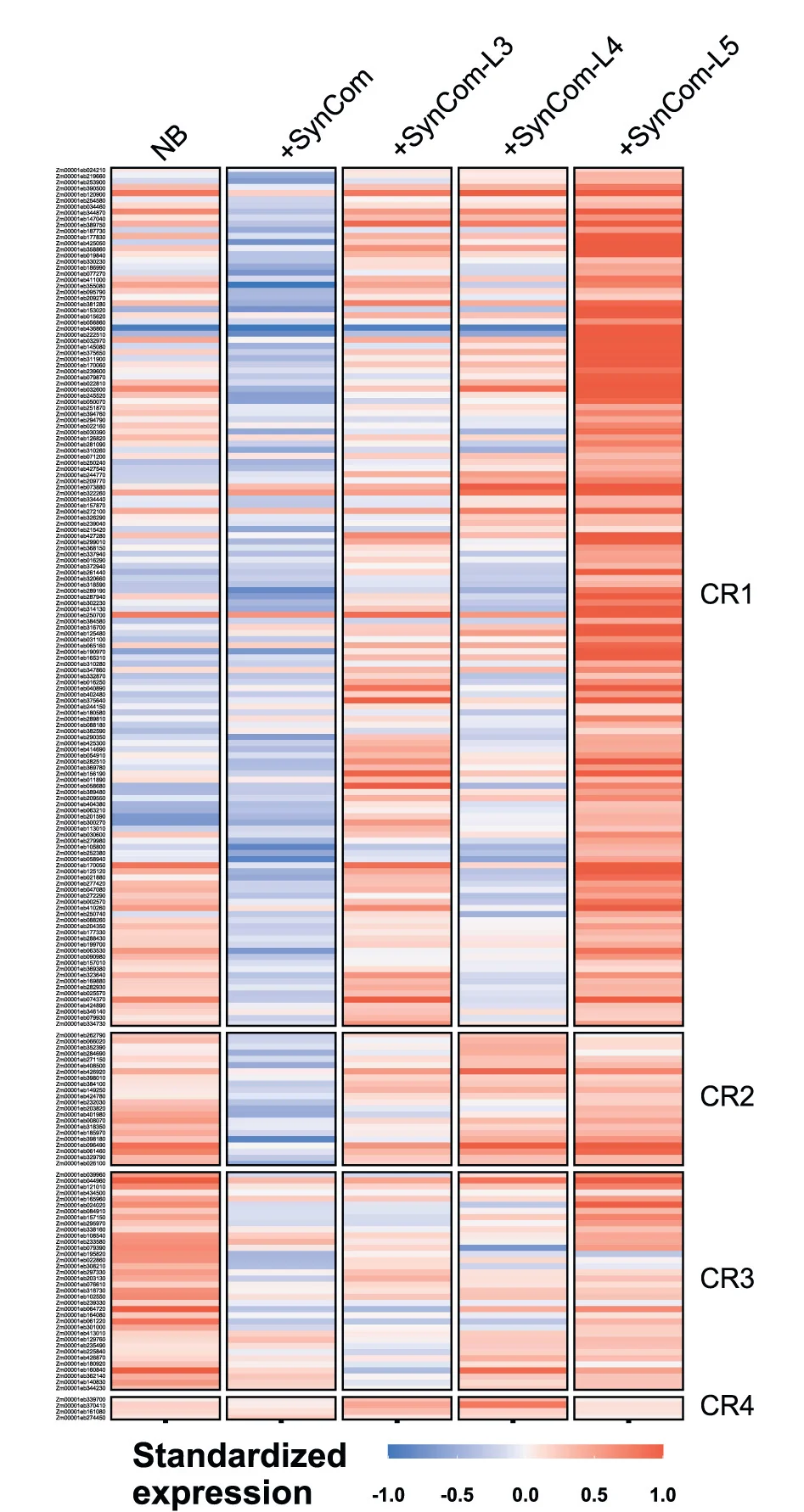 Open access visualization of Heatmap, Hierarchical Clustering Analysis, Gene Expression, Leaf, Bacterial SynCom
