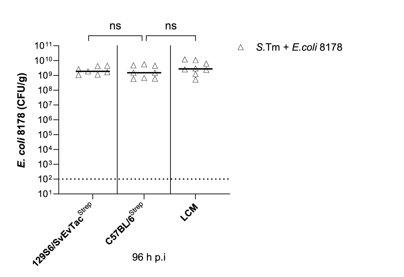 Open access visualization of Scatter Plot, Error Bars, E. coli Load, Mouse Model, Mono-Infected