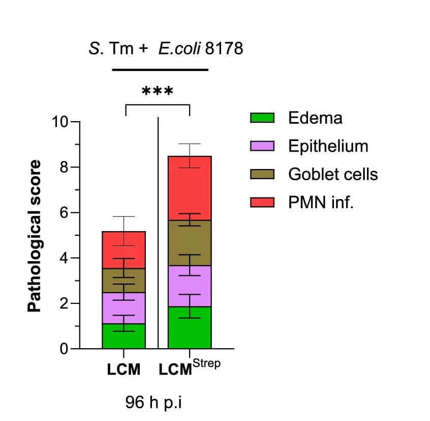 Open access visualization of Stacked Bar Plot, Error Bars, H&E Stained, Cecal Tissue, Mouse Model