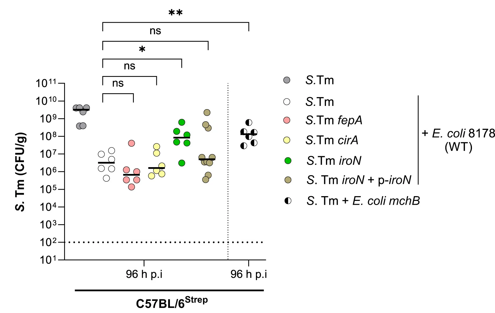 Open access visualization of Scatter Plot, S. Tm Load, CFU, Feces, S. Tm Mono-Infected Mice