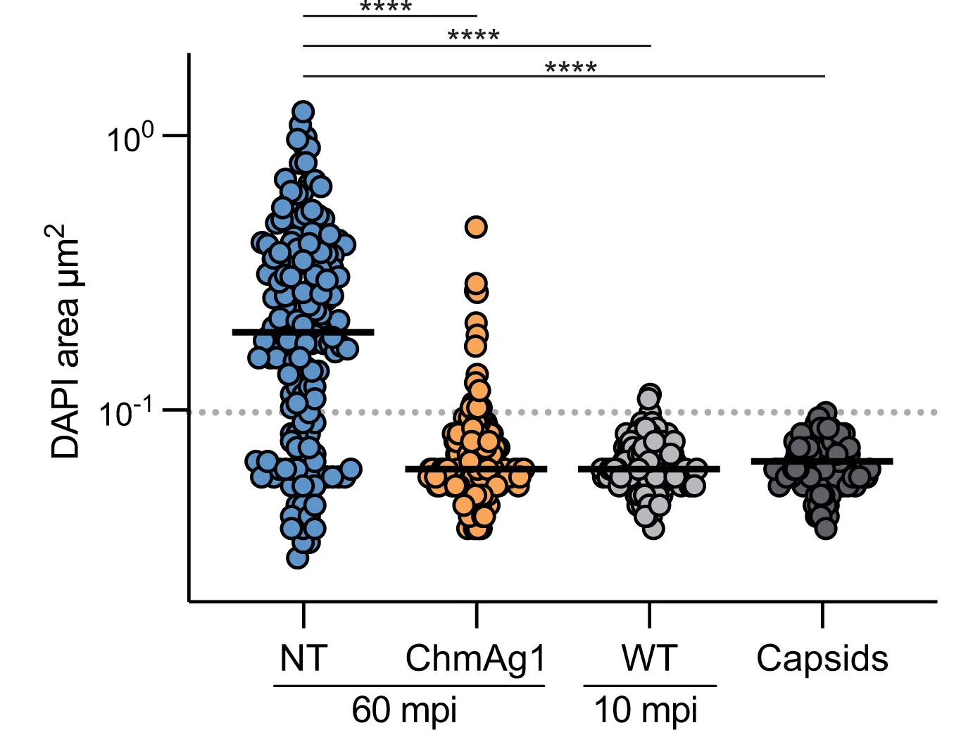 Open access visualization of Scatter Plot, Cross-sectional Area, DAPI Intensity, Phage DNA, NT Cells