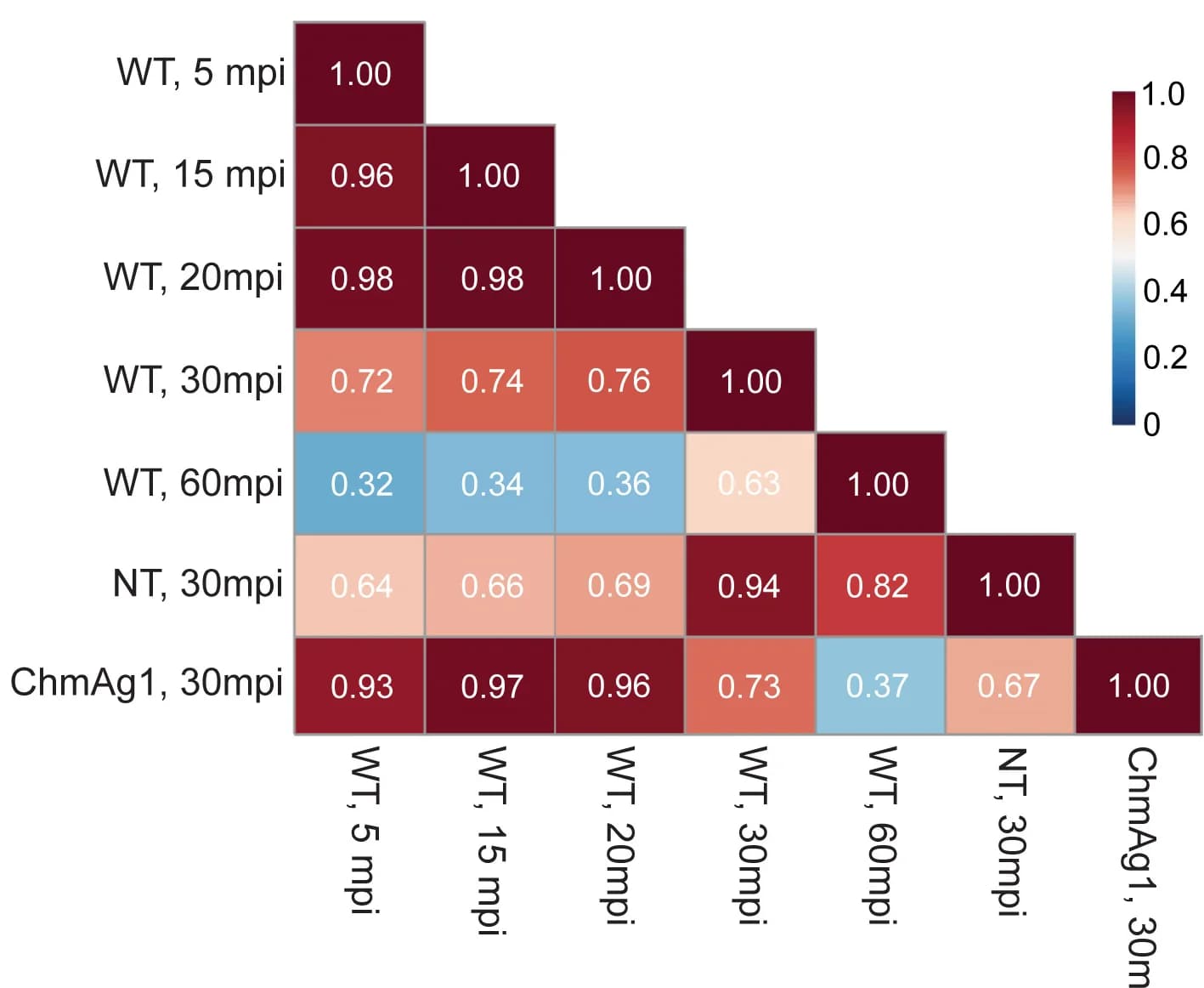 Open access visualization of Heatmap, Pearson Correlation Coefficients, Goslar Transcriptional Profile