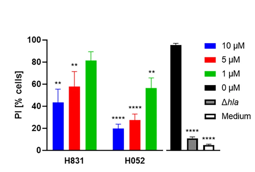 Open access visualization of Bar Plot, Error Bars, Clustered, Co-Culture, A549 Epithelial Cells
