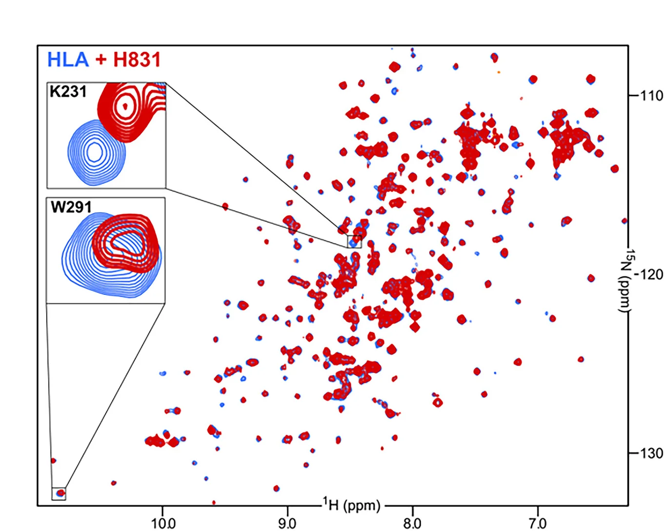 Open access visualization of Scatter Plot, H-N TROSY, N-labeled Hla, H831