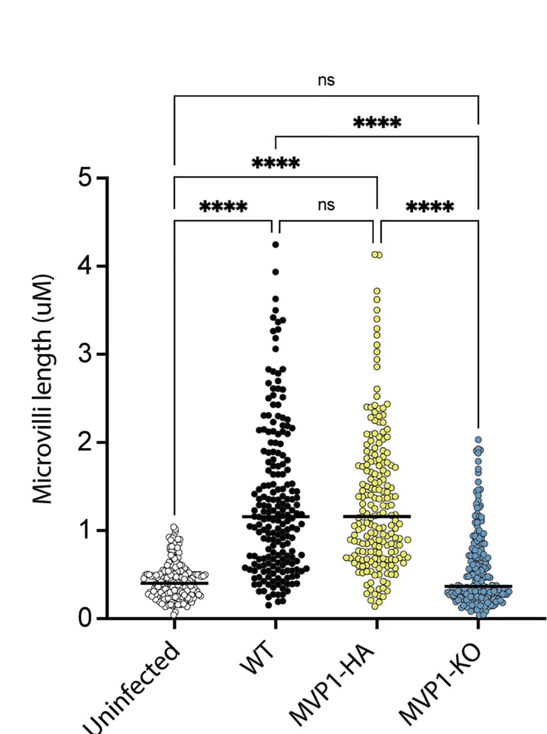 Open access visualization of Scatter Plot, Error Bars, Microvilli, Infected Cell, Statistical Analysis