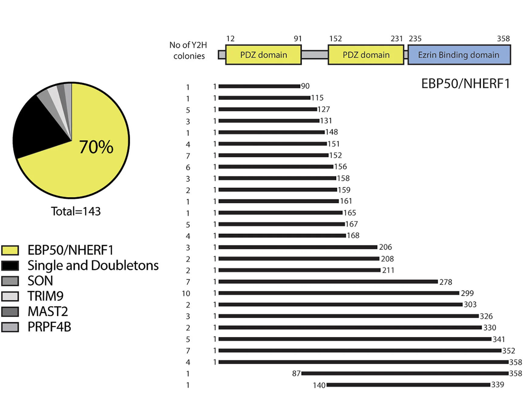 Open access visualization of Bar Plot, Pie Chart, Donut Chart, Yeast-2-Hybrid, MVP1