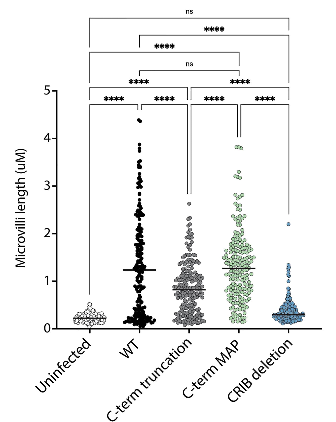 Open access visualization of Scatter Plot, Microvilli, Infected Cell, Mean, Standard Deviation