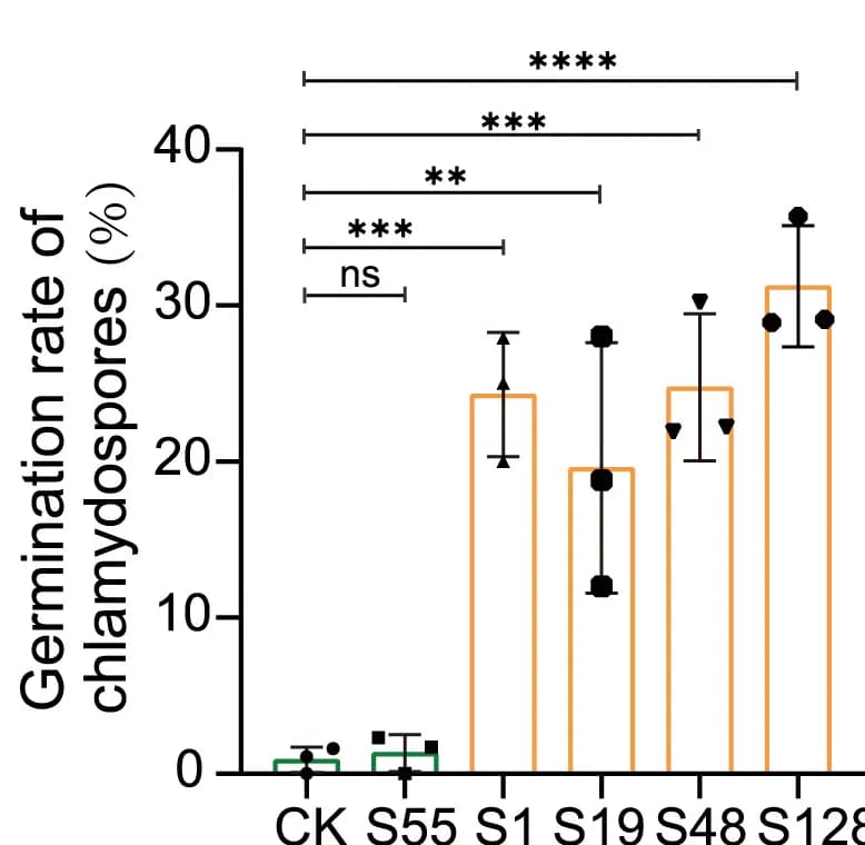 Open access visualization of Bar Plot, Error Bars, Sphingomonadaceae, Chlamydospore Germination, Germination Rates