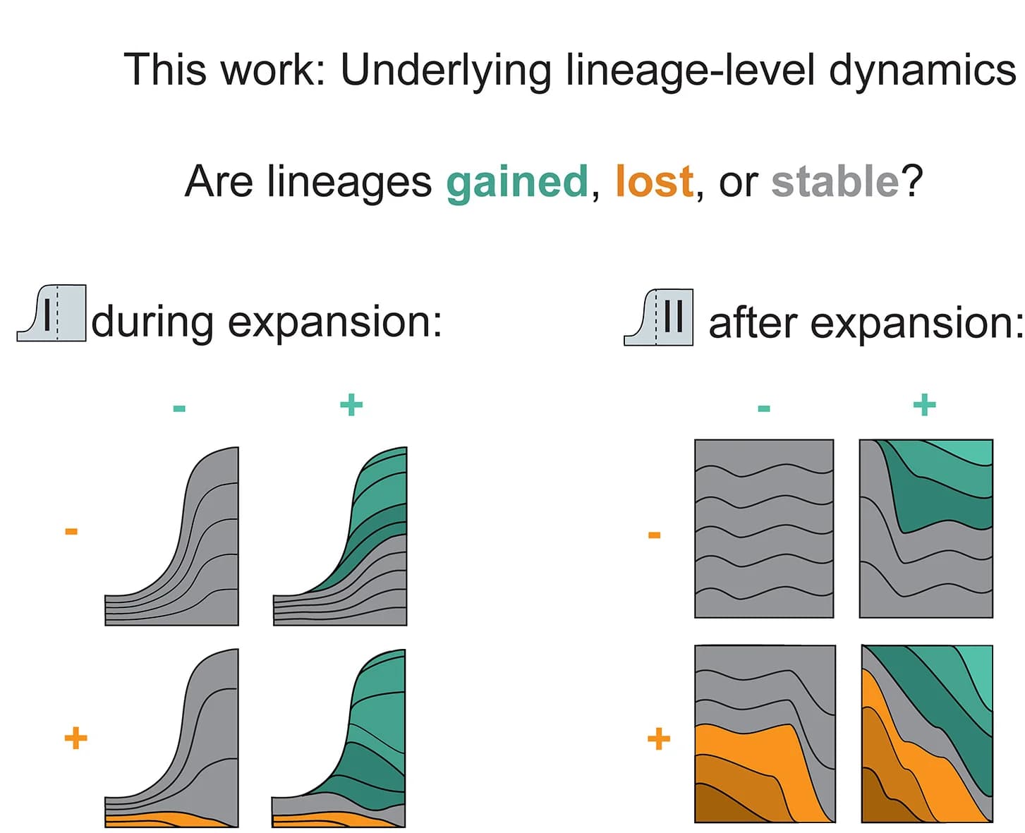 Open access visualization of Illustration, Strains, Skin, Turnover, Migration