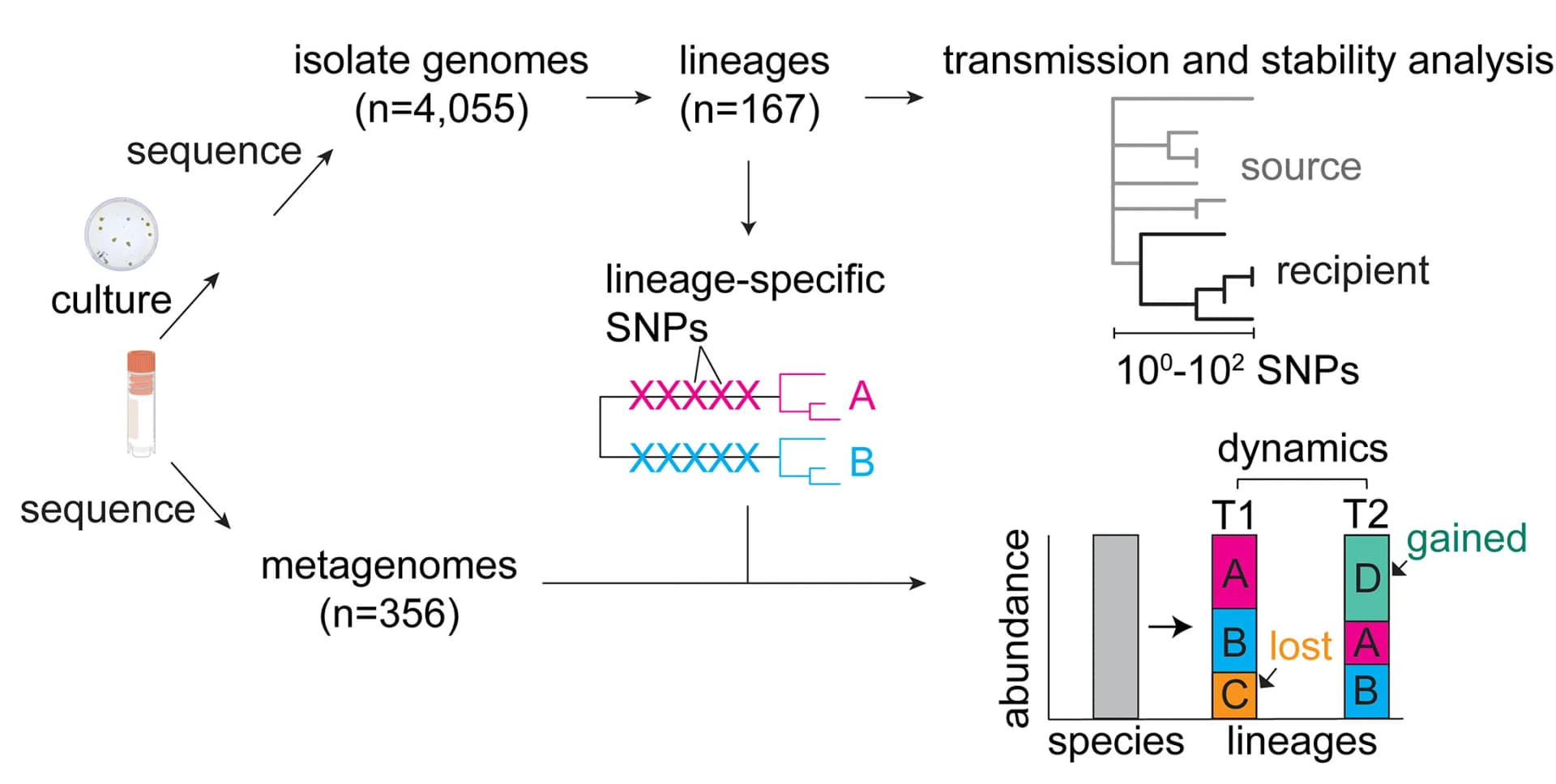Open access visualization of Workflow, Flowchart, Bar Plot, Stacked Bar Plot, Genomes