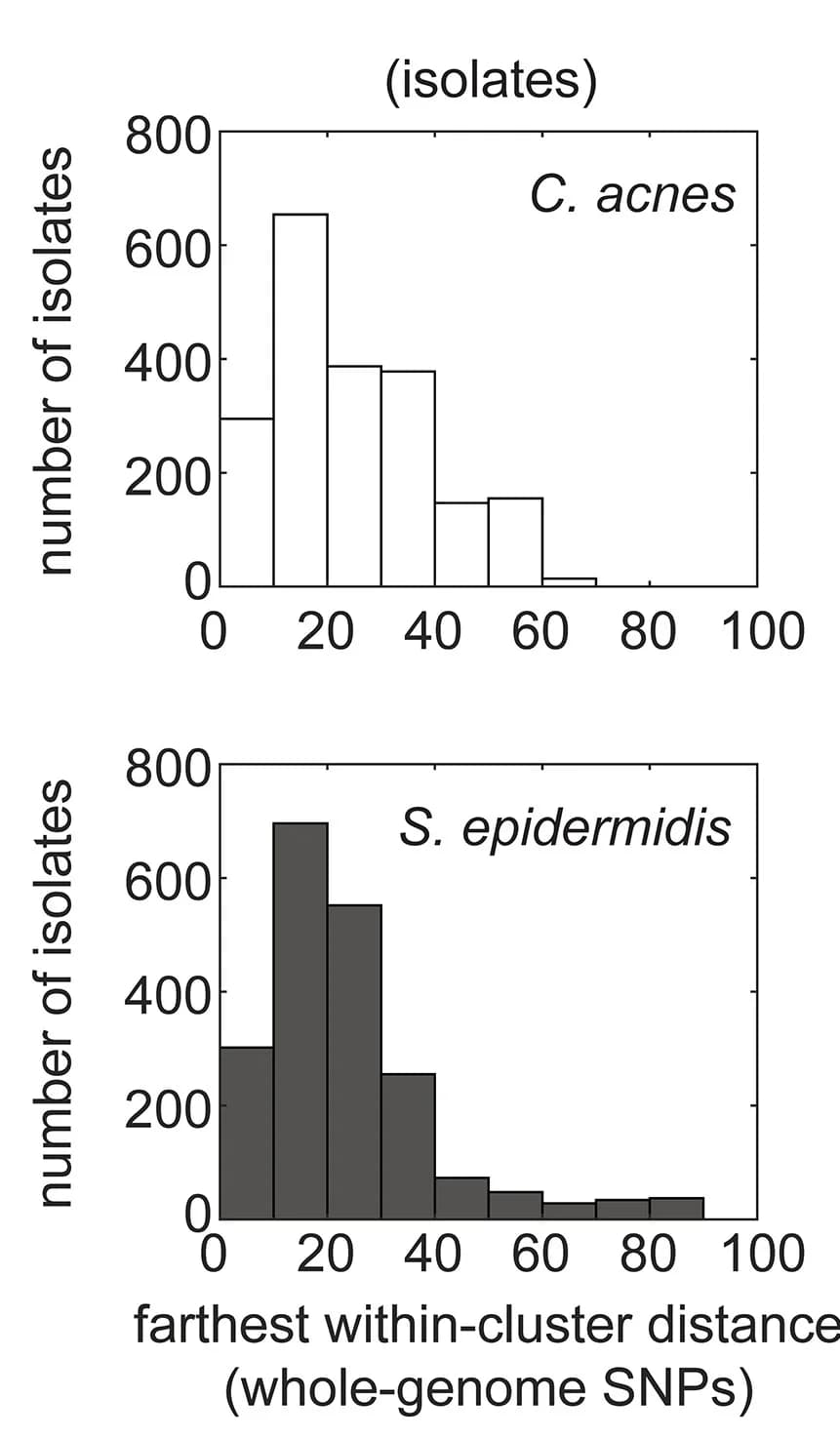 Open access visualization of Histogram, Lineages, SNPs, Genome, MRCA