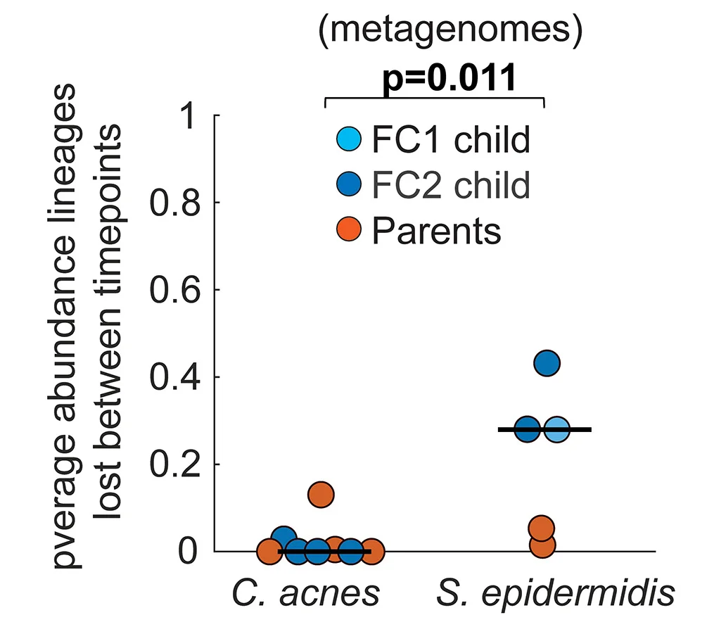 Open access visualization of Scatter Plot, Lineage Abundance, Turnover, S. epidermidis, C. acnes