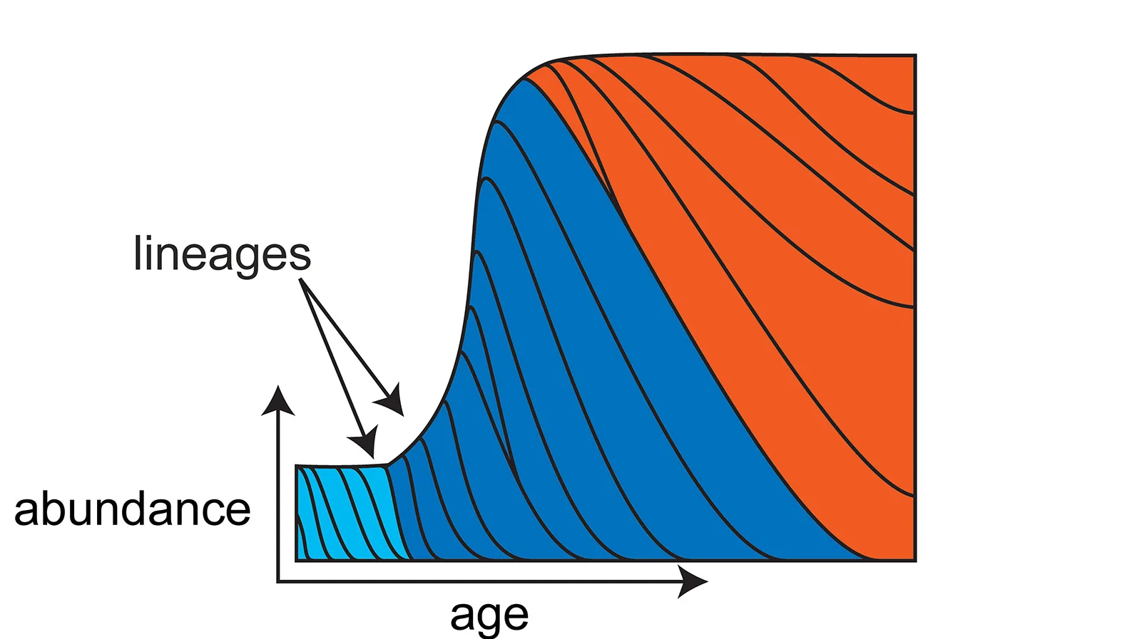 Open access visualization of Line Plot, Density Plot, S. epidermidis, Lineage Dynamics, Carrying Capacity