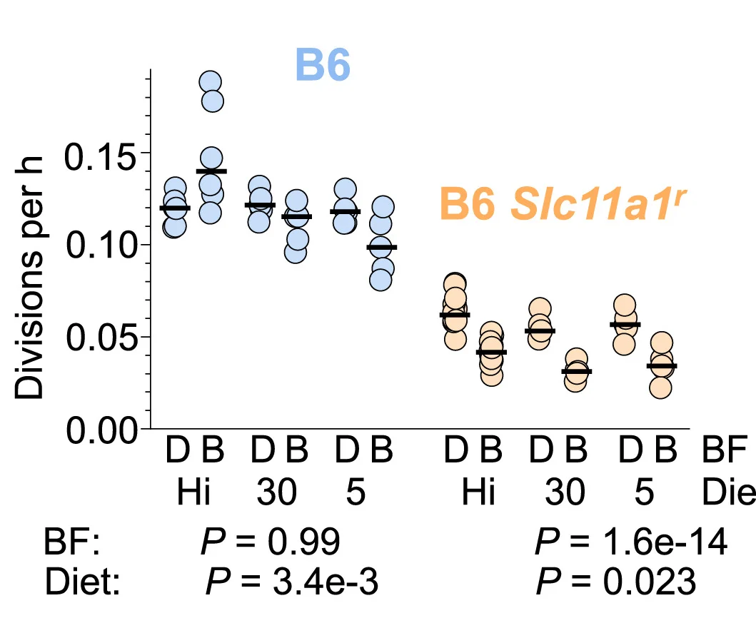 Open access visualization of Scatter Plot, Salmonella, Division Rate, Spleen, Mice