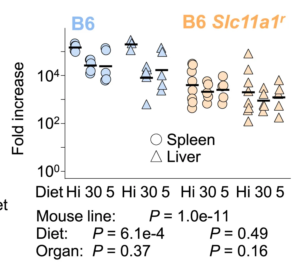 Open access visualization of Scatter Plot, Salmonella, Growth, Spleen, Liver