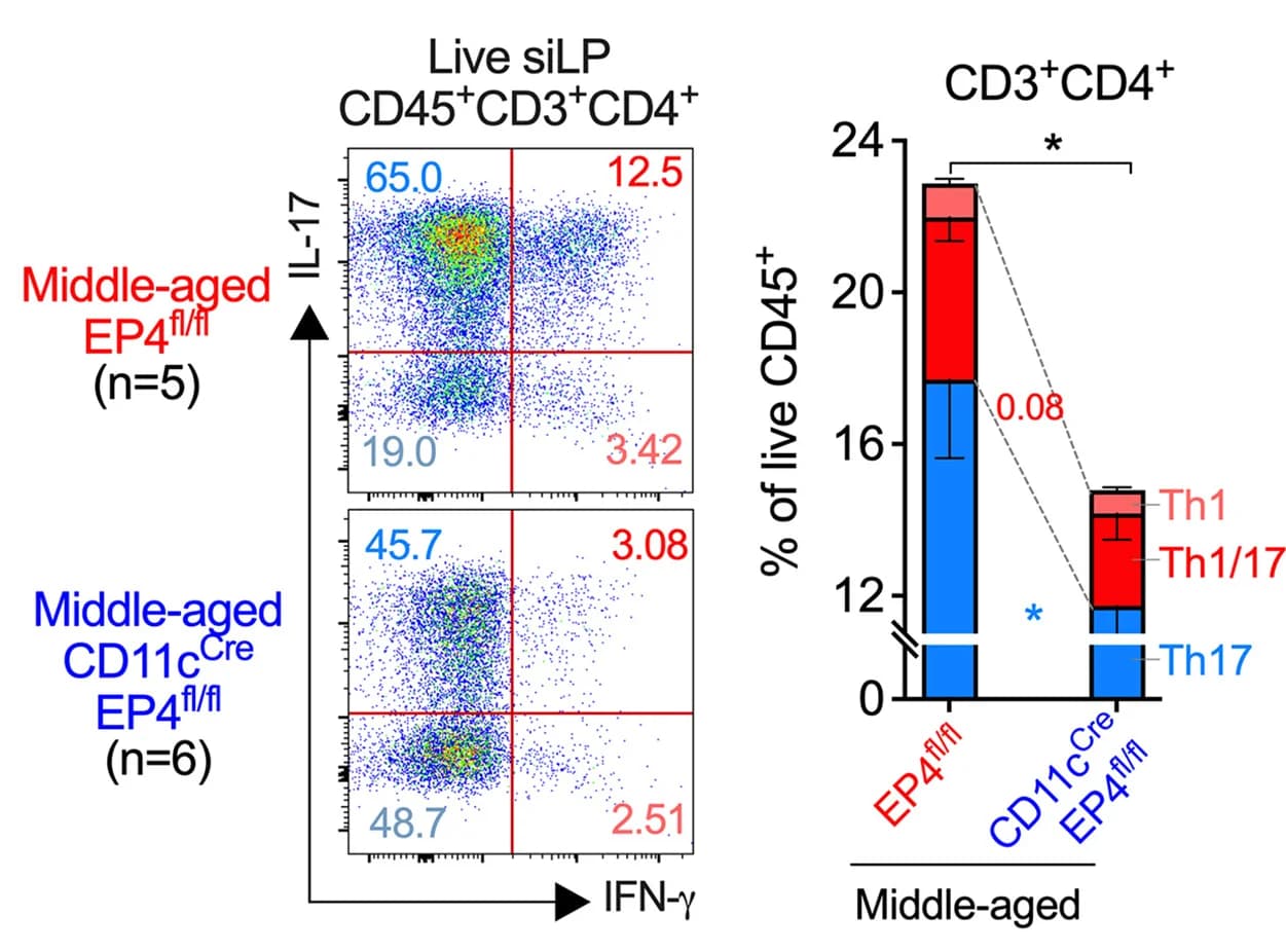 Open access visualization of Scatter Plot, Bar Plot, Stacked Bar Plot, Error Bars, siLP T Cells