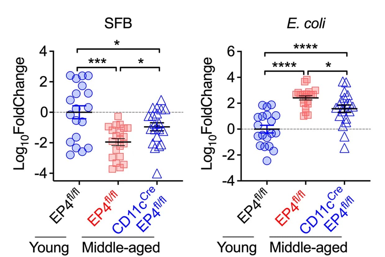 Open access visualization of Scatter Plot, Error Bars, SFB, E. coli, Ileal Contents