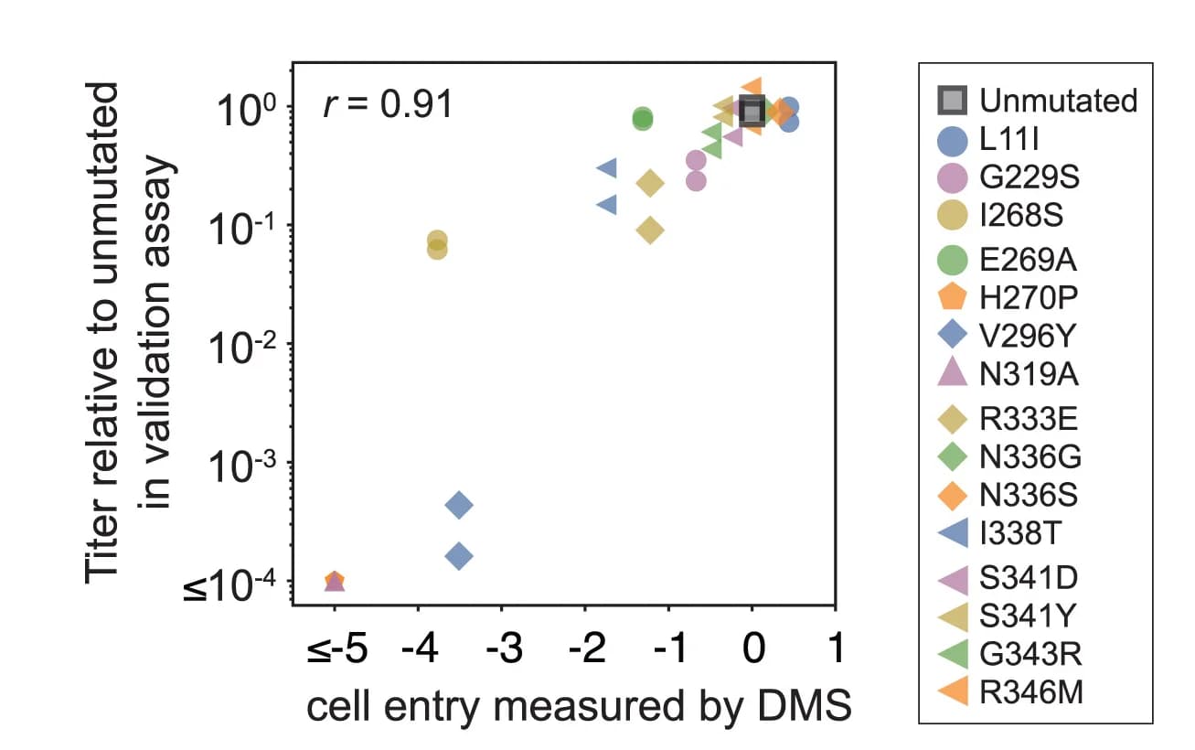Open access visualization of Scatter Plot, Deep Mutational Scanning, Mutational Effects, Cell Entry, Pseudoviruses