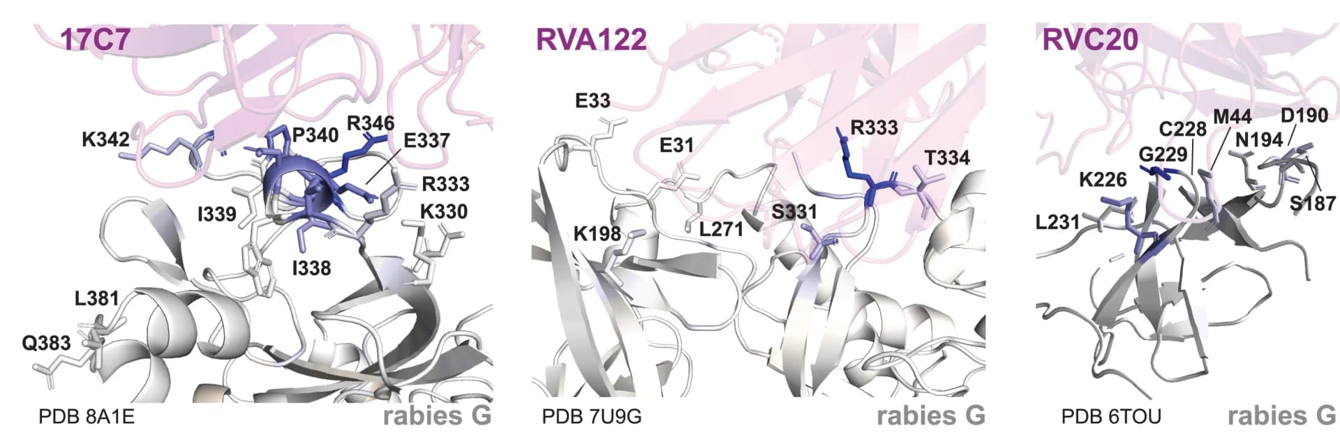 Open access visualization of Protein Structure, Chemical Structure, Antibody Escape, Deep Mutational Scanning, Antibodies