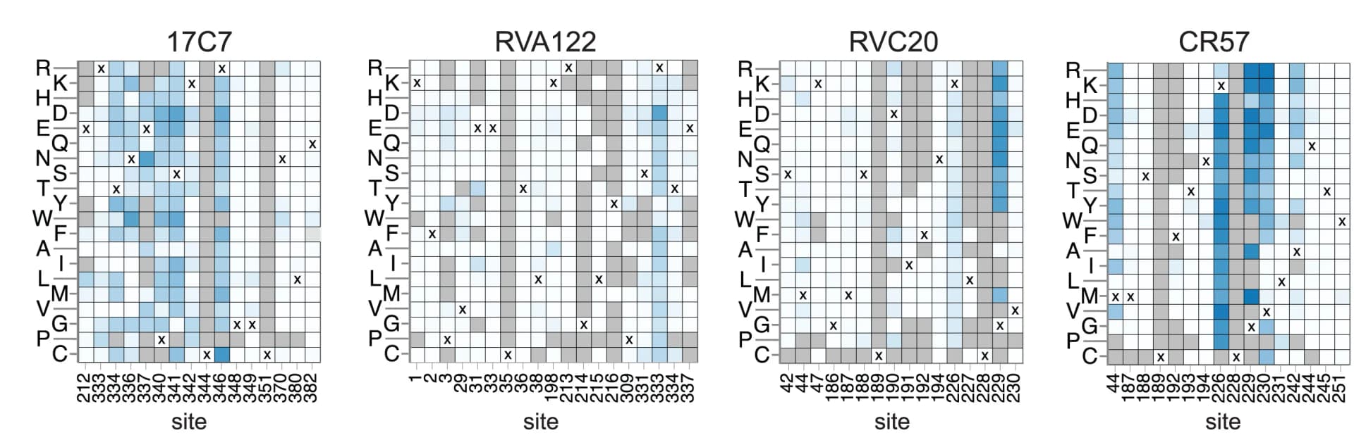 Open access visualization of Heatmap, Escape Values, Mutations, Deep Mutational Scanning, Antibody Neutralization