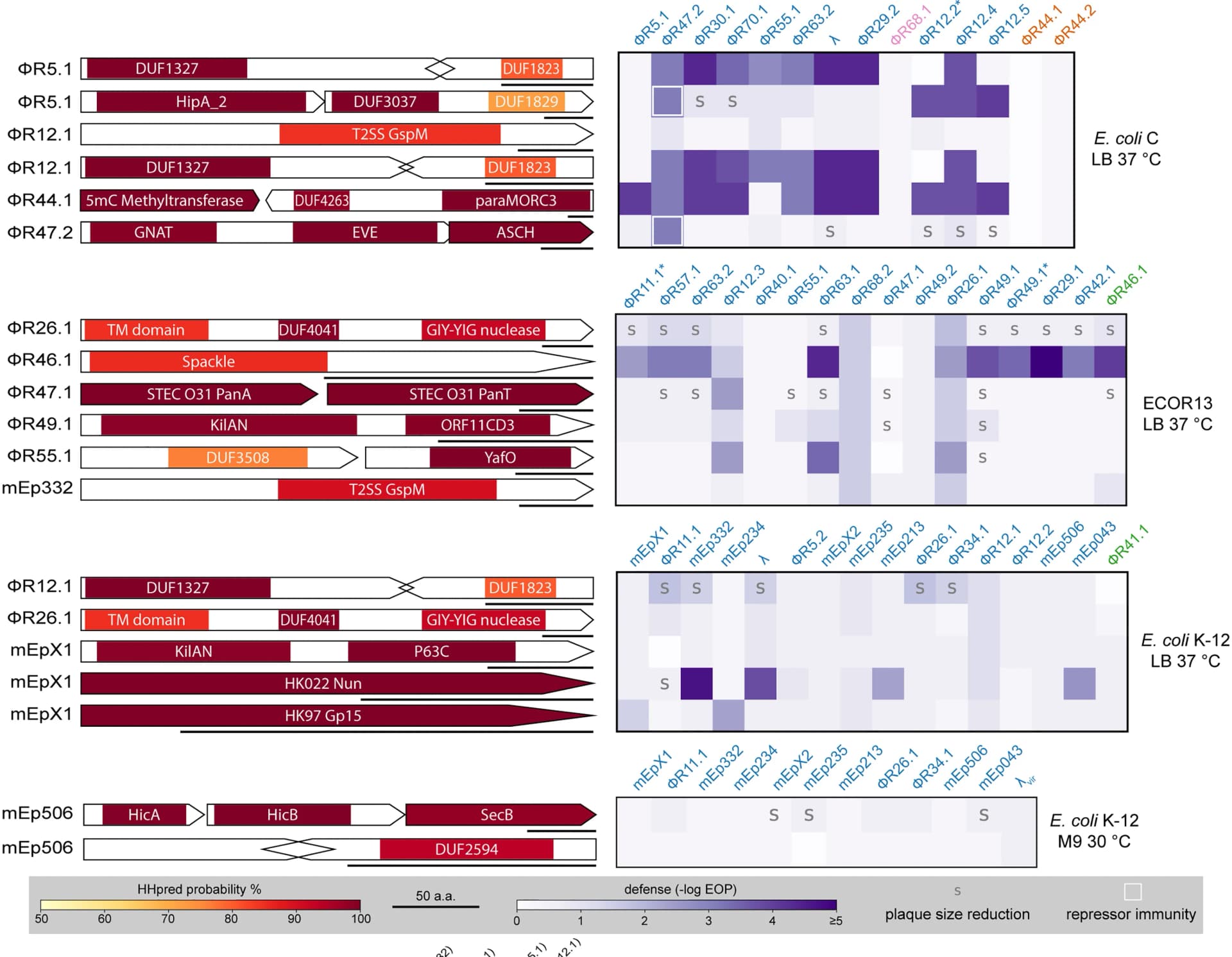Open access visualization of Heatmap, Illustration, Workflow, HHpred, Domain Annotation