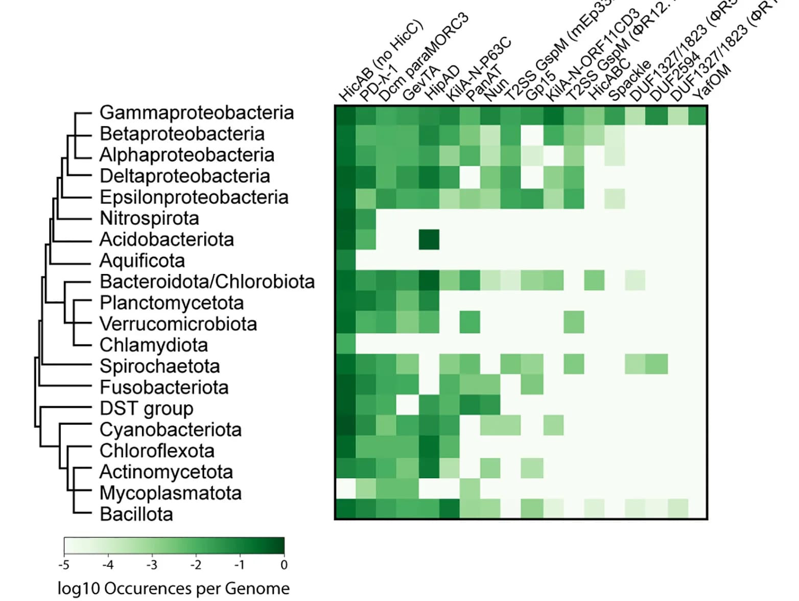 Open access visualization of Heatmap, Clustered, Phylogenetic Distribution, Defense System Homologs, NCBI Refseq