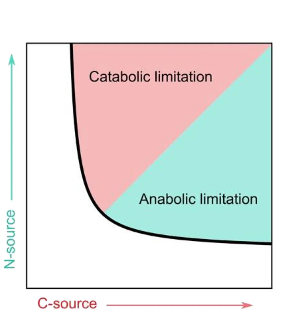 Open access visualization of Line Plot, Nutrient Concentrations, Population Growth, Essential Nutrients, Microbial Population Growth