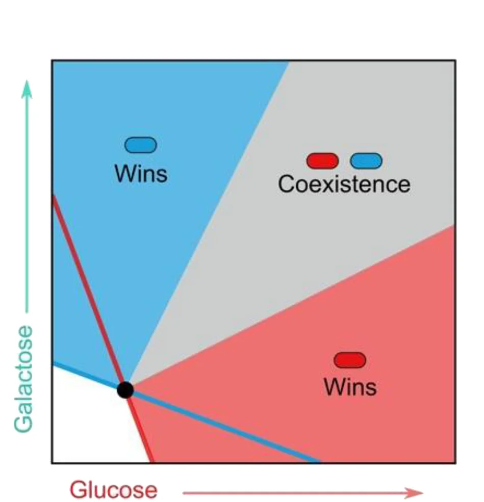 Open access visualization of Scatter Plot, Microbial Species, Substitutable Nutrients, Coexistence, Competitive Exclusion