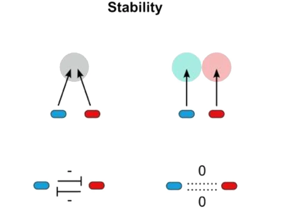 Open access visualization of Illustration, Nutrients, Species competition, Negative interaction, Neutral interaction