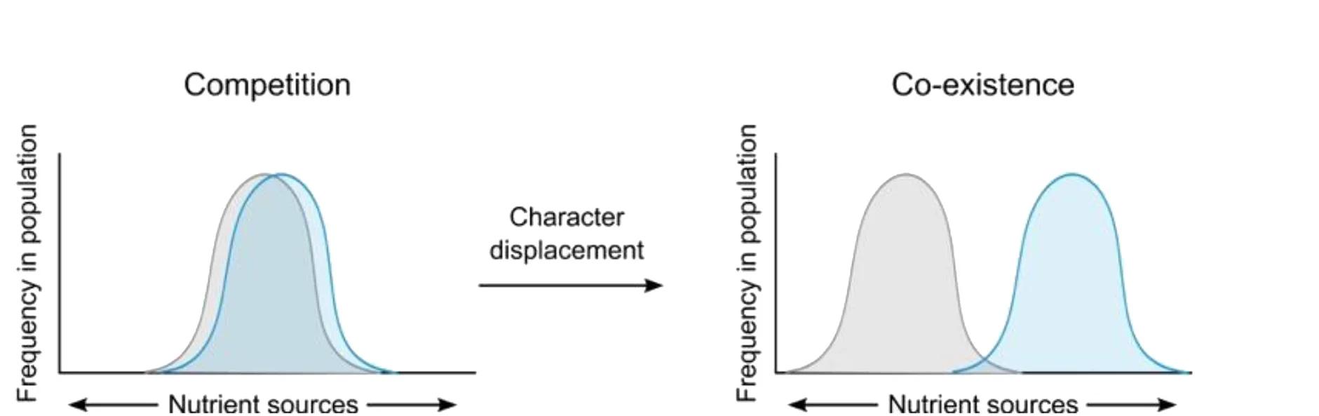 Open access visualization of Density Plot, Character Displacement, Natural Selection, Nutrient Competition, Metabolism